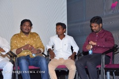 Nenu-Naa-Nagarjuna-Audio-launch-12