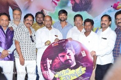 Nenu-Naa-Nagarjuna-Audio-launch-4