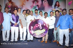 Nenu-Naa-Nagarjuna-Audio-launch-5