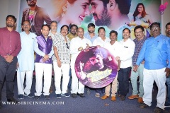 Nenu-Naa-Nagarjuna-Audio-launch-6