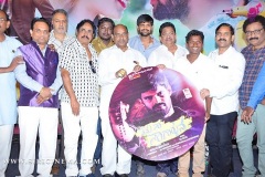 Nenu-Naa-Nagarjuna-Audio-launch-7