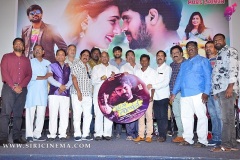 Nenu-Naa-Nagarjuna-Audio-launch-8