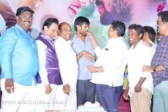 Nenu-Naa-Nagarjuna-Audio-launch-9