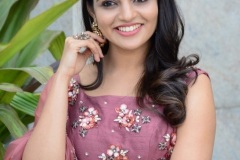 Nikhila-Vimal-New-Photos-12