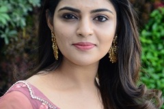 Nikhila-Vimal-New-Photos-17