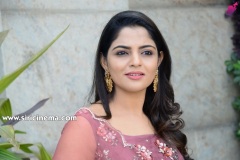 Nikhila-Vimal-New-Photos-8