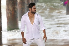 Ninne-Pelladatha-Movie-Stills-4