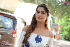 payal-rajput-New-Photos-10