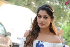 payal-rajput-New-Photos-16