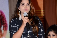 Planning-Movie-Press-Meet-9