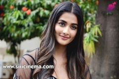 PoojaHegde-New-Photos-12