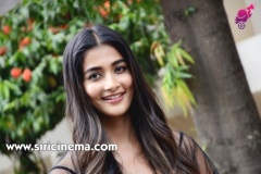 PoojaHegde-New-Photos-13