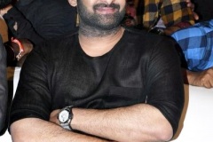 Prabhas-New-Photos-8