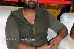 Prabhas-New-Photos-8