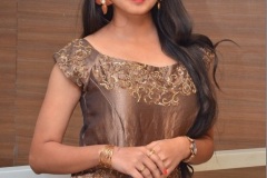 Preethi-Asrani-new-photos-11