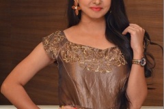 Preethi-Asrani-new-photos-5