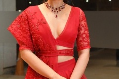 Rashi-Khanna-latest-photos-4