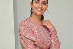 Ruhani-Sharma-new-photos-8