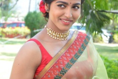 Sai-Dhanshika-New-Photos-6