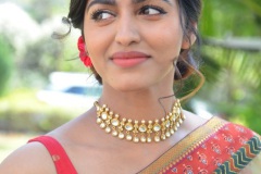 Sai-Dhanshika-New-Photos-7