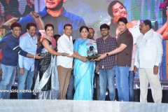 Sarileru-Neekevvaru-Blockbuster-Ka-Baap-celebrations-27