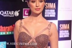 SIIMA-2019-day-1-81