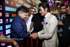 SIIMA-2019-day-2-Photos-31