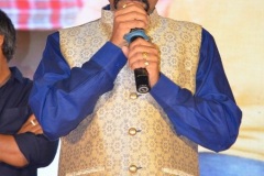 Software-Sudheer-Pre-Release-event-20