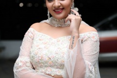 Sreemukhi-New-Photos-14