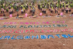 Sri-G.Jagadish-Reddy-one-Lakh-Mega-plantation-program-in-Nalgonda-Municipality-1