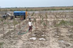 Sri-G.Jagadish-Reddy-one-Lakh-Mega-plantation-program-in-Nalgonda-Municipality-2