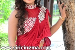 Sri-Pallavi-New-Photos-1