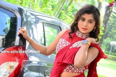 Sri-Pallavi-New-Photos-16