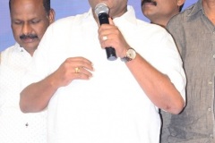 Tupaki-Ramudu-Pre-Release-event-26