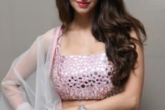 Vedhika-New-Stills-14