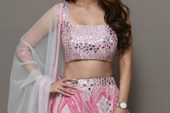 Vedhika-New-Stills-2