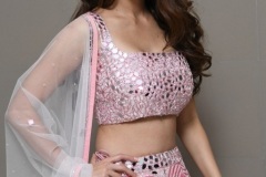 Vedhika-New-Stills-7