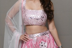 Vedhika-New-Stills-8