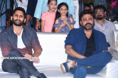 Venky-Mama-Vijayotsavam-at-Guntur-12