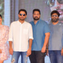 Bheeshma success meet