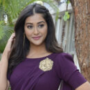 Pooja Jhaveri New Photos