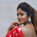 Khiladi Movie Dimple Hayathi Interview Photos