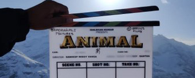 Animal Launched, Regular Shoot Begins