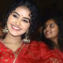 Anupama Parameswaran New Photos